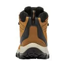 imagem do produto Bota Newton Ridge Plus II Waterproof Masculina para Caminhada Trekking - Columbia