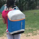 imagem do produto  Cooler To Go 20L - NTK Nautika