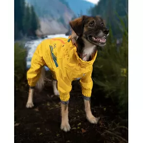 imagem de Jaqueta Combate Roupa Pet - Baut