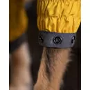 imagem do produto Jaqueta Combate Roupa Pet - Baut