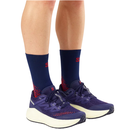 imagem do produto T�nis de Corrida e Caminhada Aero Glide 3 GRVL Masculino Azul - Salomon